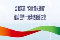 国家电投集团召开党组书记牵头整改事项专题推进会