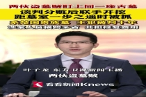 两盗墓团伙在作案途中相遇 联手挖墓终被捕