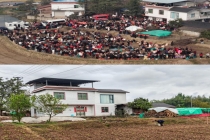 重庆摇人按猪女孩现状：已回城工作 小山村期待蜕变