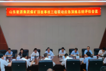 王彦超同志带队到山东能源枣矿集团调研煤矿安全生产工作