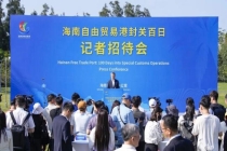 海南自贸港封关百日，“成绩单"来了 核心指标稳步攀升